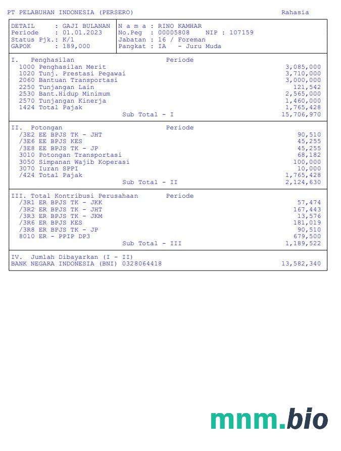 Pt pelabuhan indonesia (persero) pay stub w formatach PDF i Word